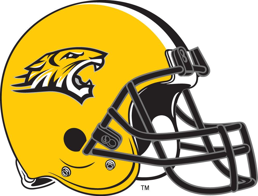 Towson Tigers 2004-2008 Helmet Logo diy iron on heat transfer